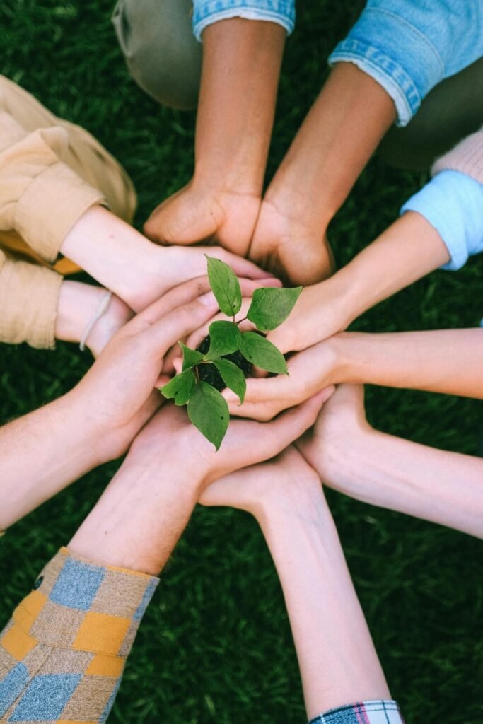 Multiple hands joined together in circle protecting small green plant seedling growing in center
